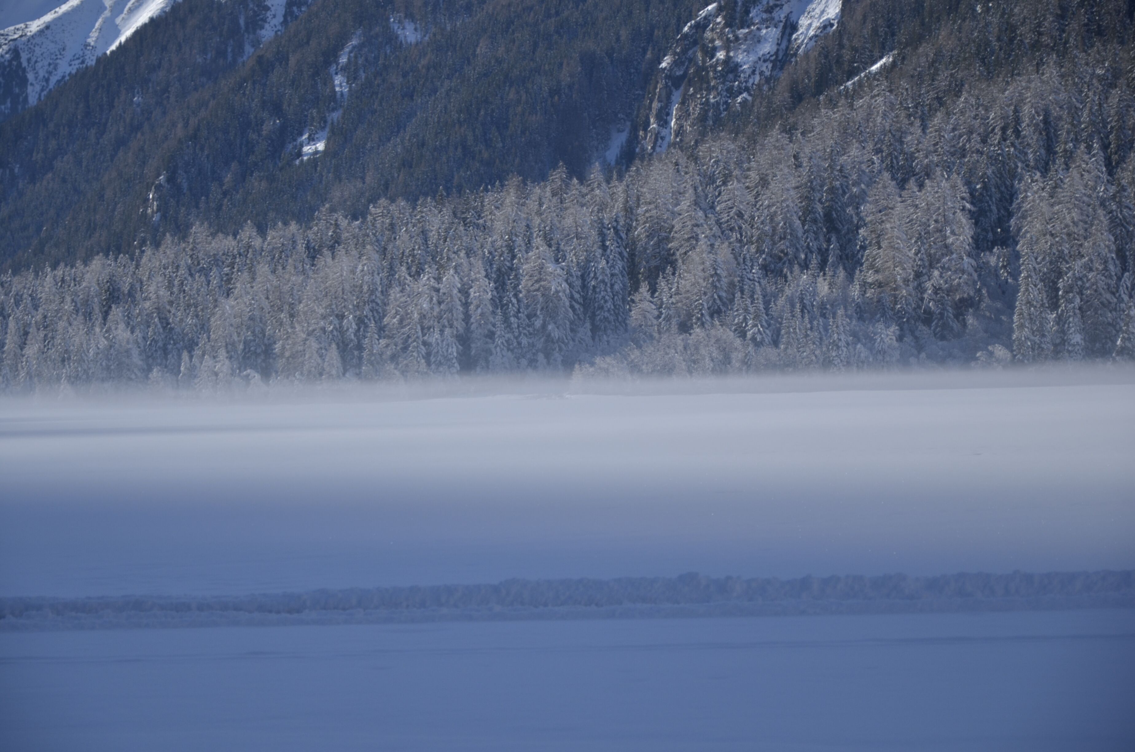 Biotopo Torbiera di Rasun (Q3640254)