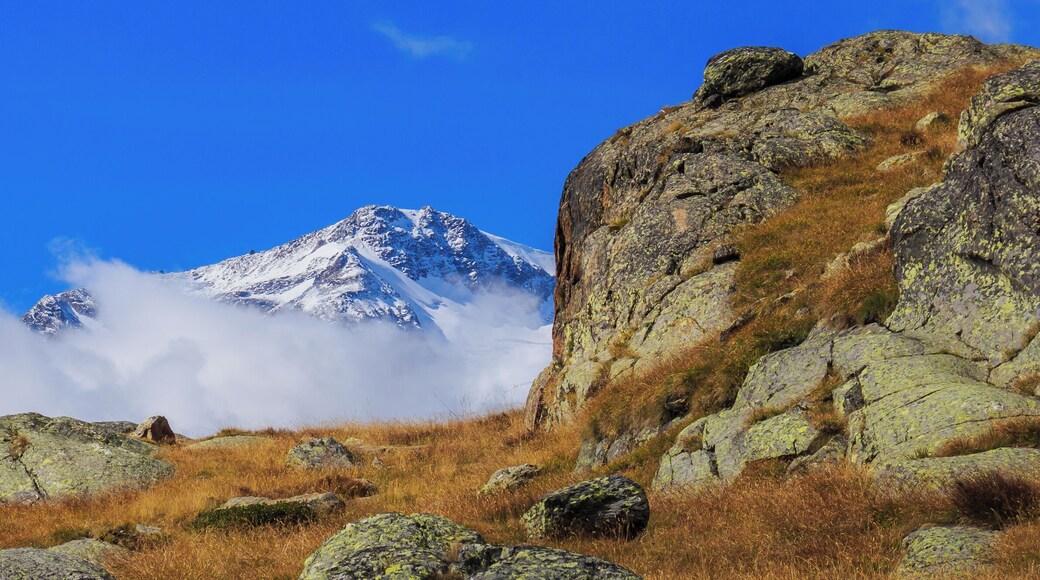 Mountain hiking of parking in power station Malga Mare to Lago Lungo (2,553 metres (8,376 ft). Views of Monte Cevedale (3,769 metres (12,365 ft).