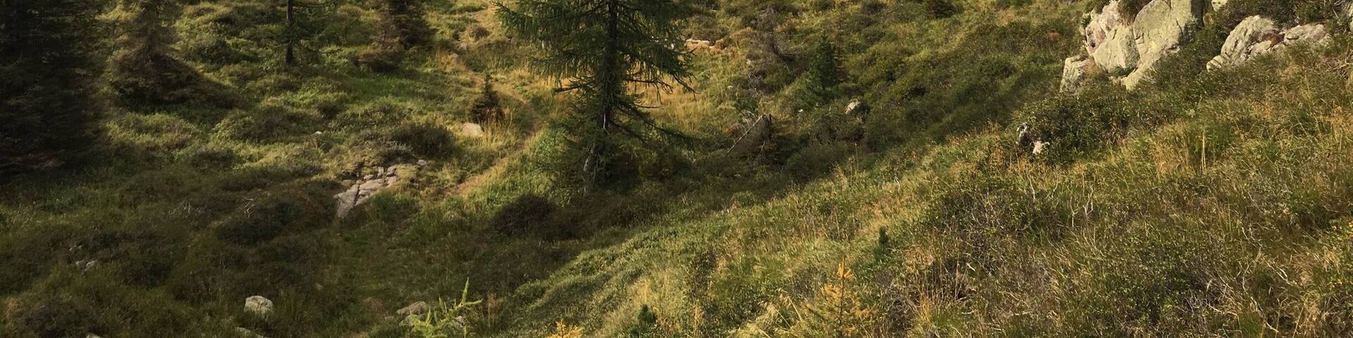 Little #alps #lake in #trentino #italy #takeahike #aquatrover