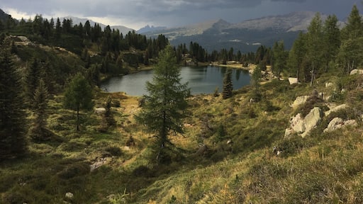 Little #alps #lake in #trentino #italy #takeahike #aquatrover