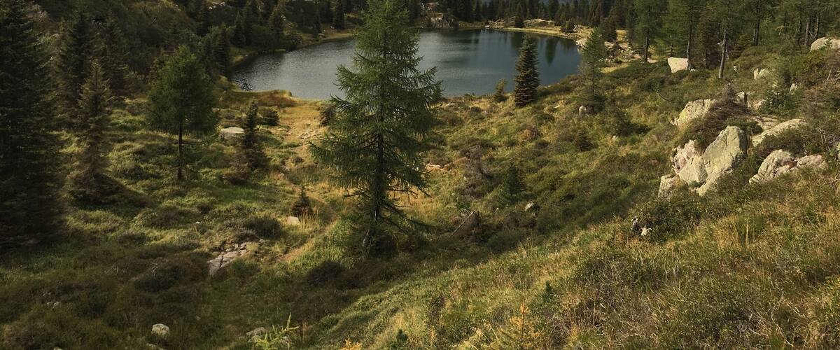 A lake surrounded by mountains and coniferous trees.