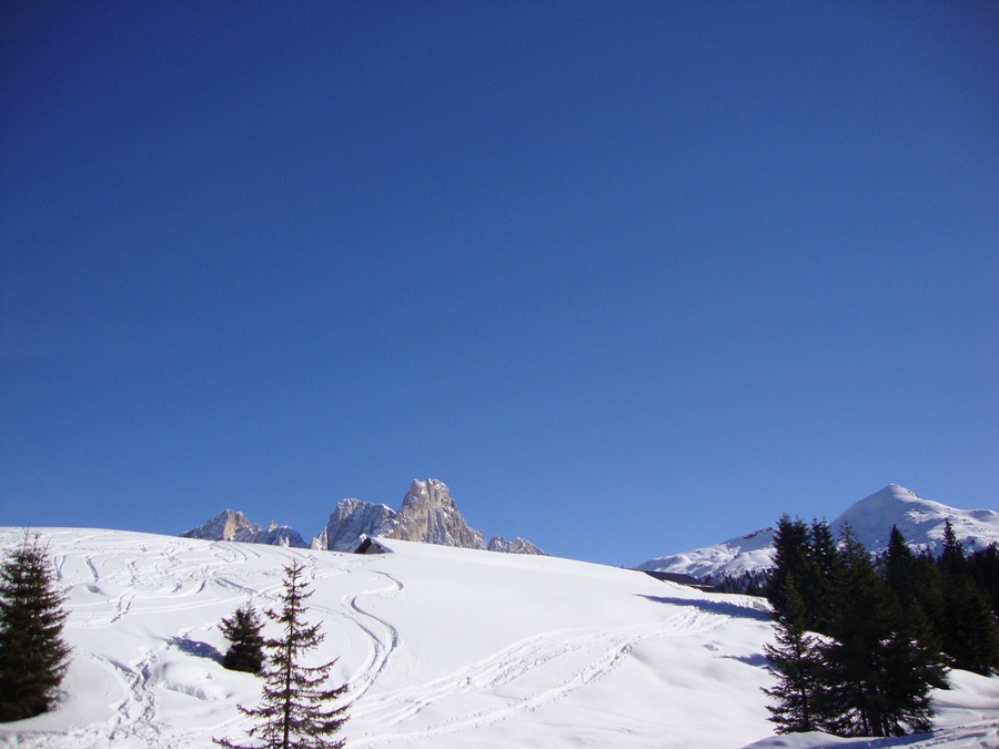 malga colbricon, un tuttuno con la neve