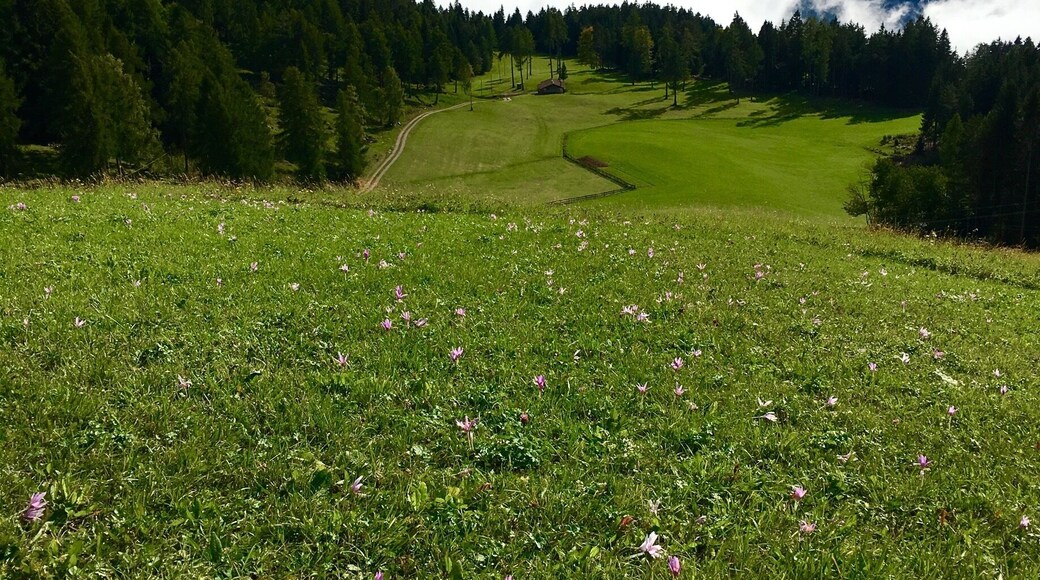 Area around ZirmerHof