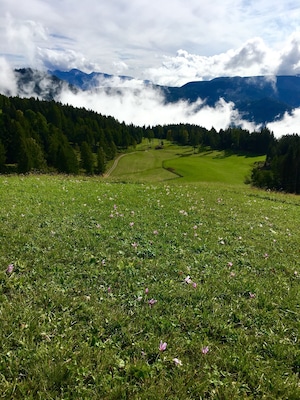 Area around ZirmerHof