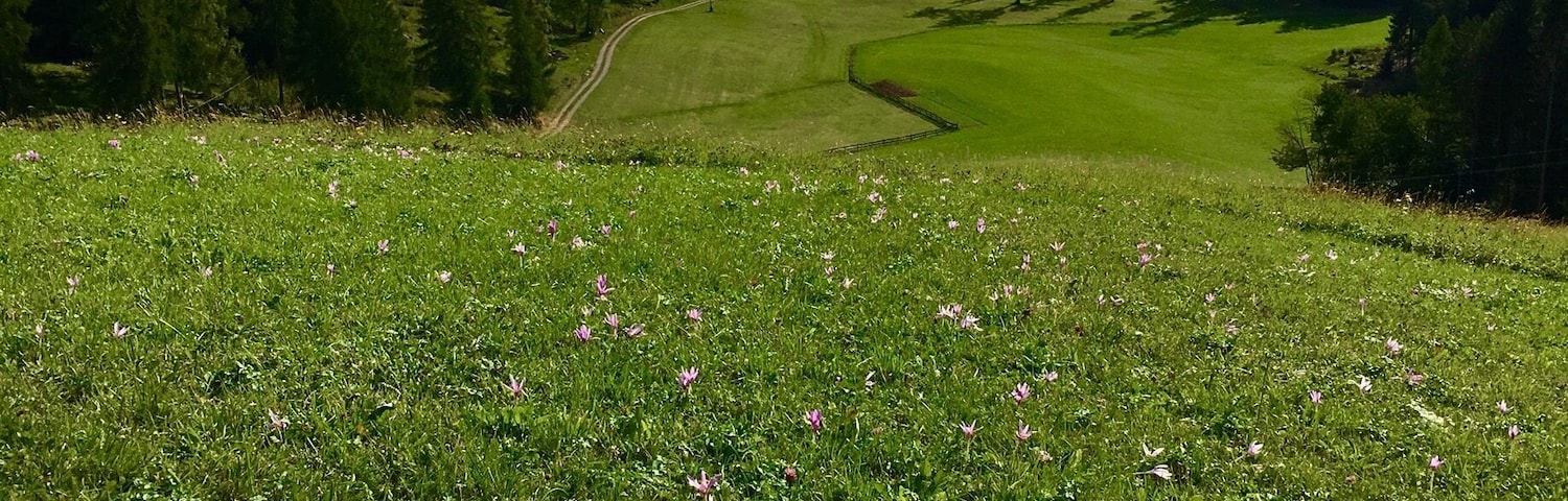 Area around ZirmerHof