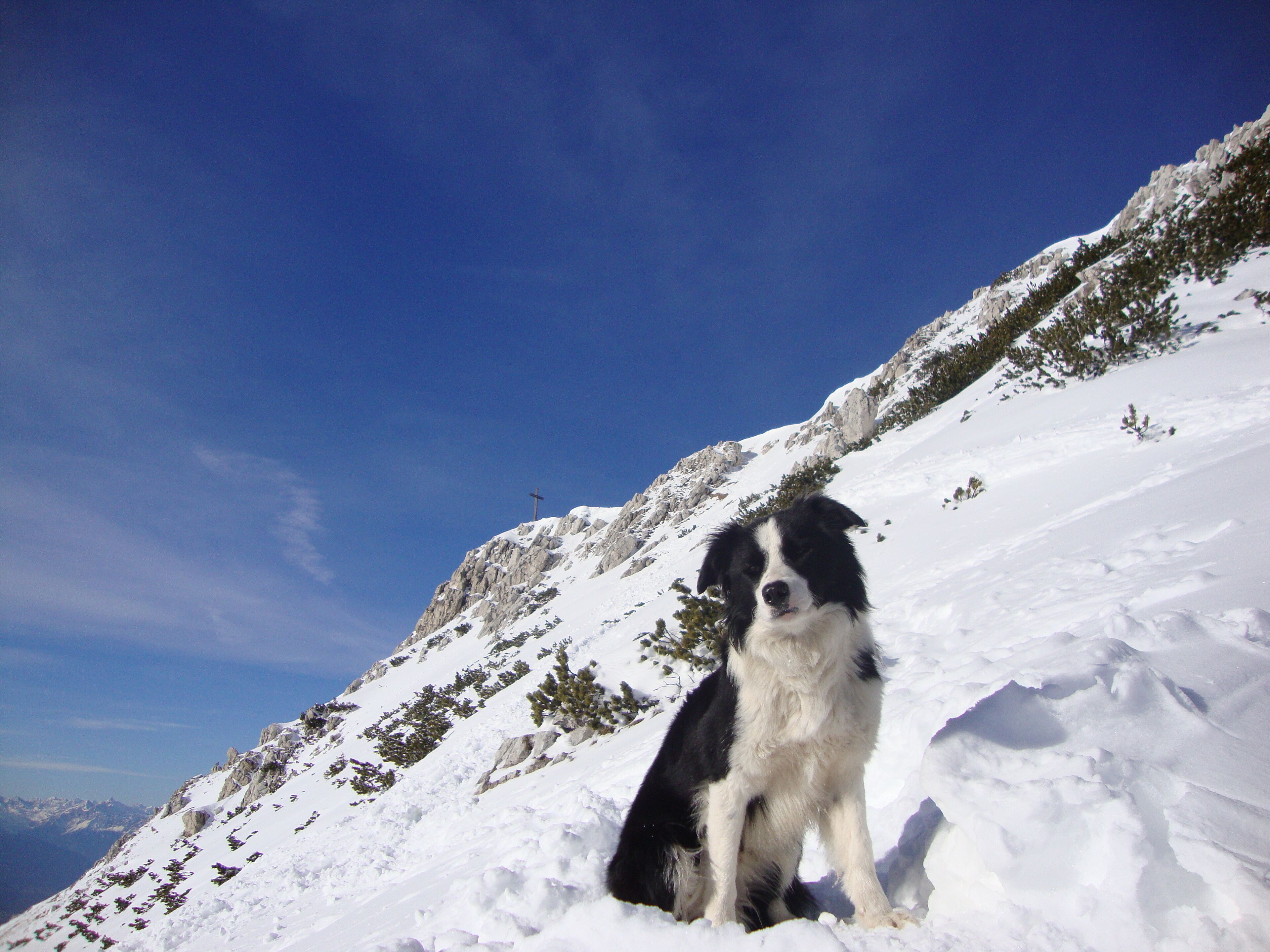 gordon, in vista della croce