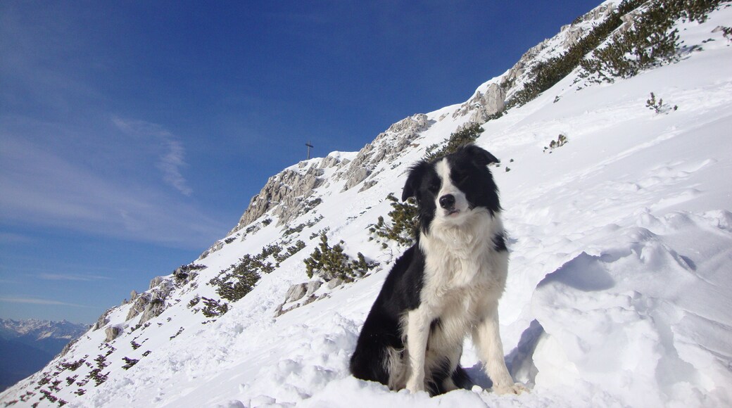 gordon, in vista della croce