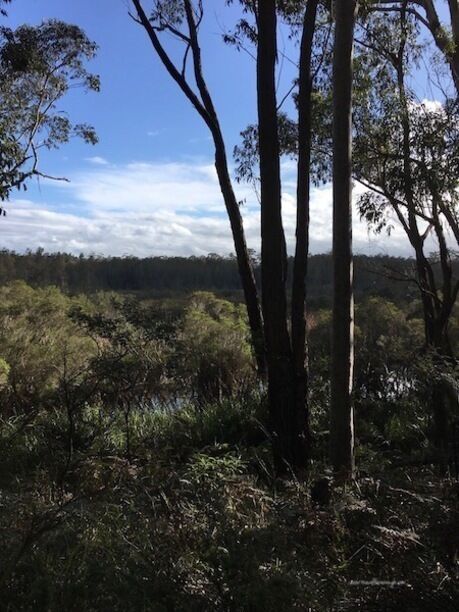 A gorgeous spot in the NSW south coast.  Luxury self contained 'bowers', named after the Australian bower bird. This was taken on a walk around the 100ha property. Oh and nit only is it a wildlife refuge,  it's also connected to a nature reserve. :-)