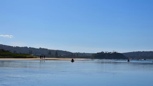 Beach Family Silhouette