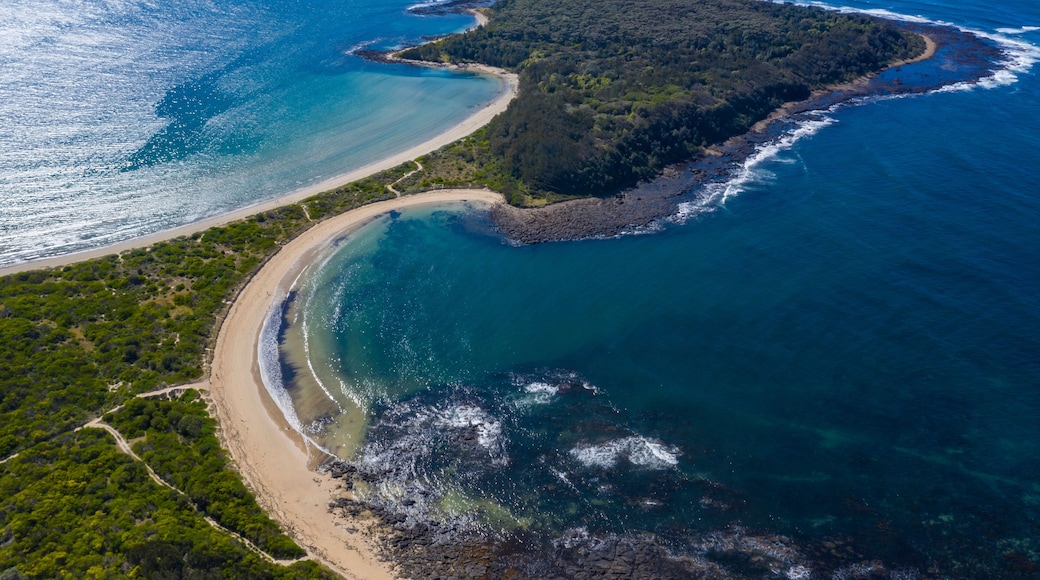 An aerial view of a coastal landscape with a sandy beach, a small island, and clear blue waters.