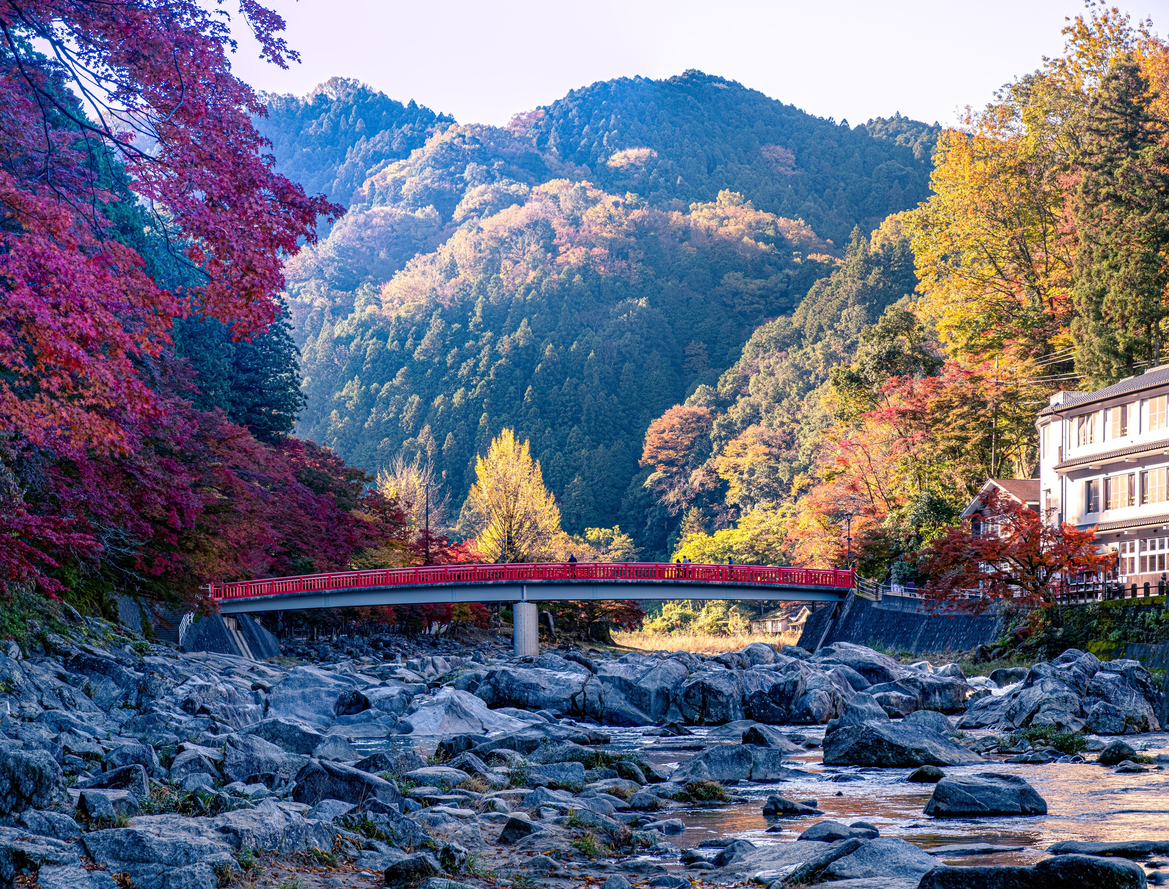 安城市