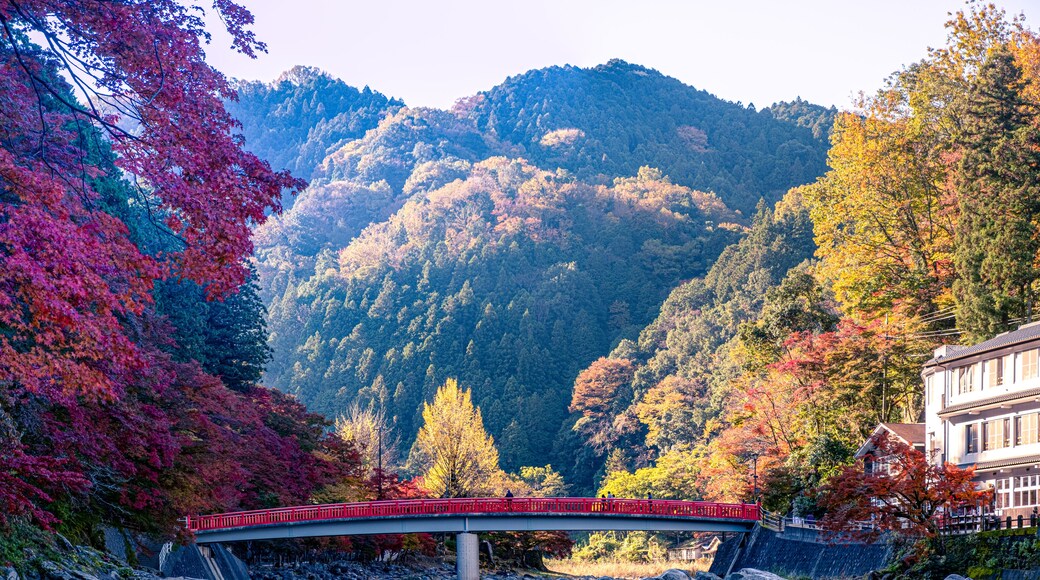安城市