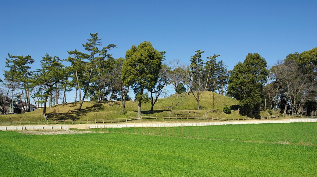 二子古墳全体図、南側より。