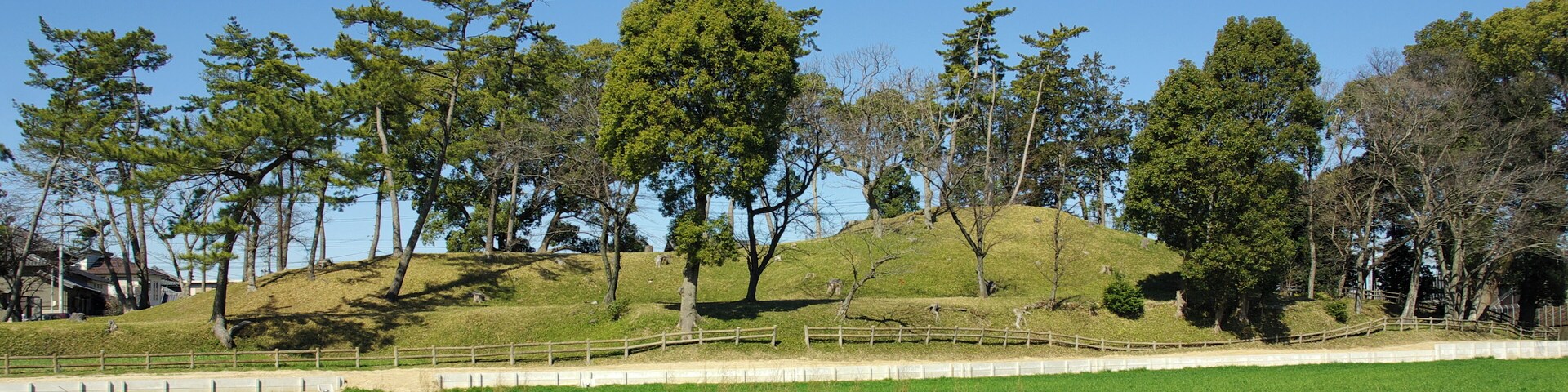 二子古墳全体図、南側より。