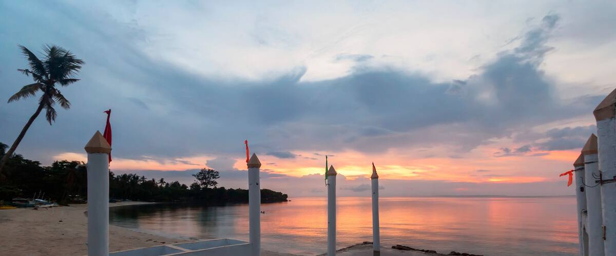 A beach with palm trees and a sunset over the water.
