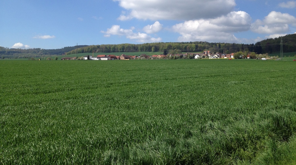 Blick auf Riede, einen Ortsteil von Bad Emstal, vom Sportplatz aus.