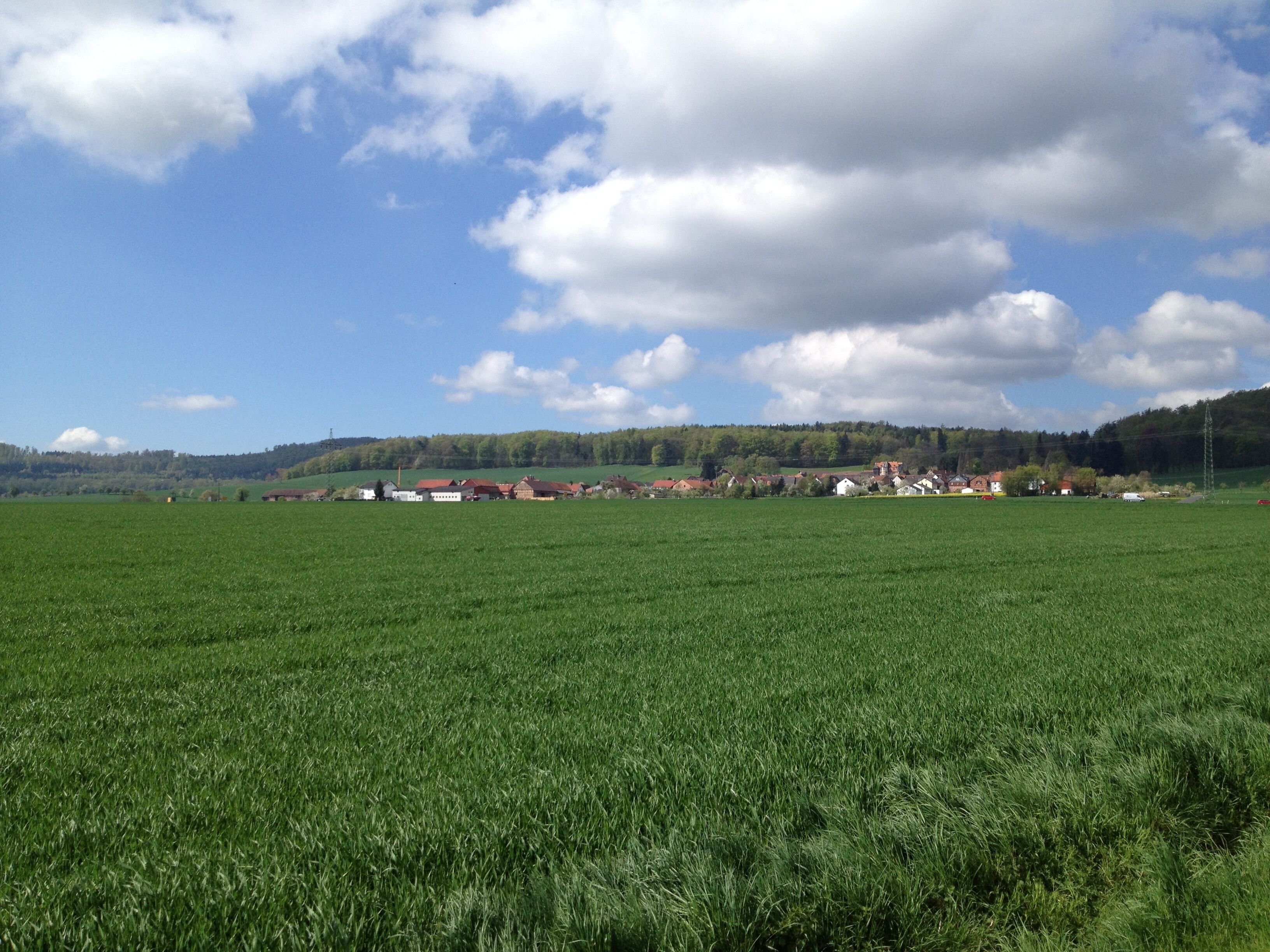 A green field with a village in the distance.