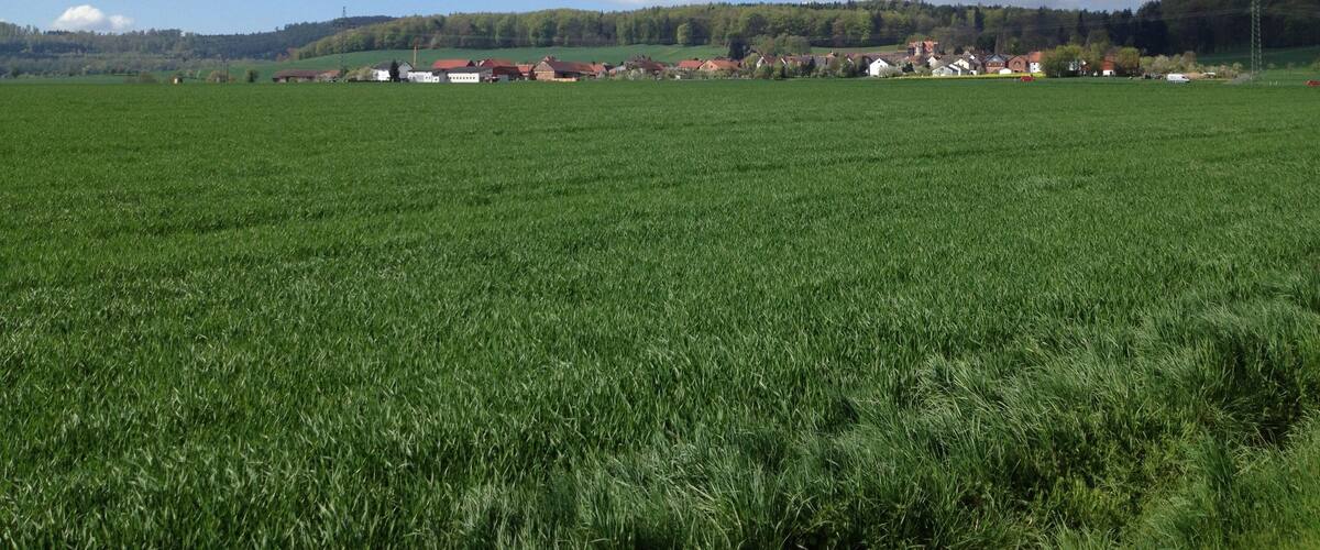 A green field with a village in the distance.