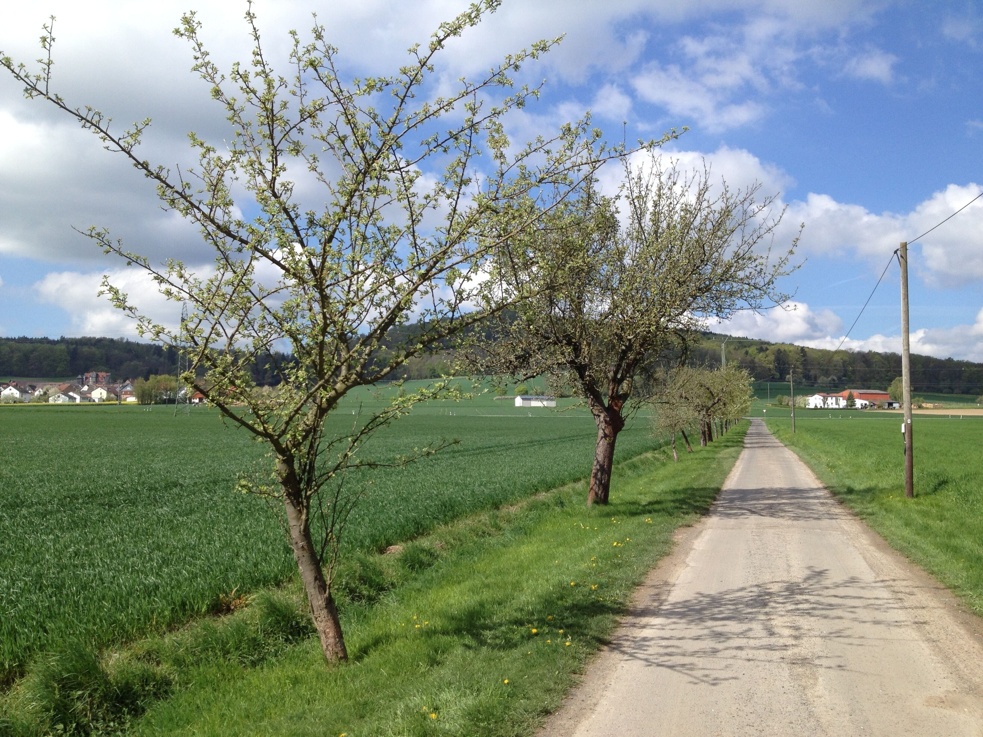 Der Eco Pfad Friedenspädagogik Bad Emstal und der Streckenwanderweg ▯ zwischen dem Sportplatz Riede und der Bundesstraße 450