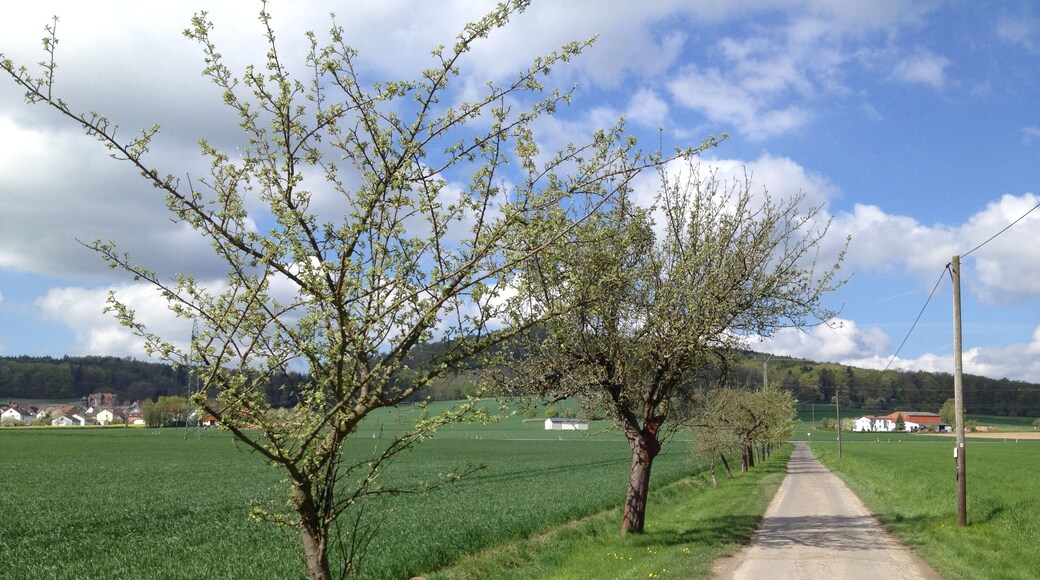 Der Eco Pfad Friedenspädagogik Bad Emstal und der Streckenwanderweg ▯ zwischen dem Sportplatz Riede und der Bundesstraße 450