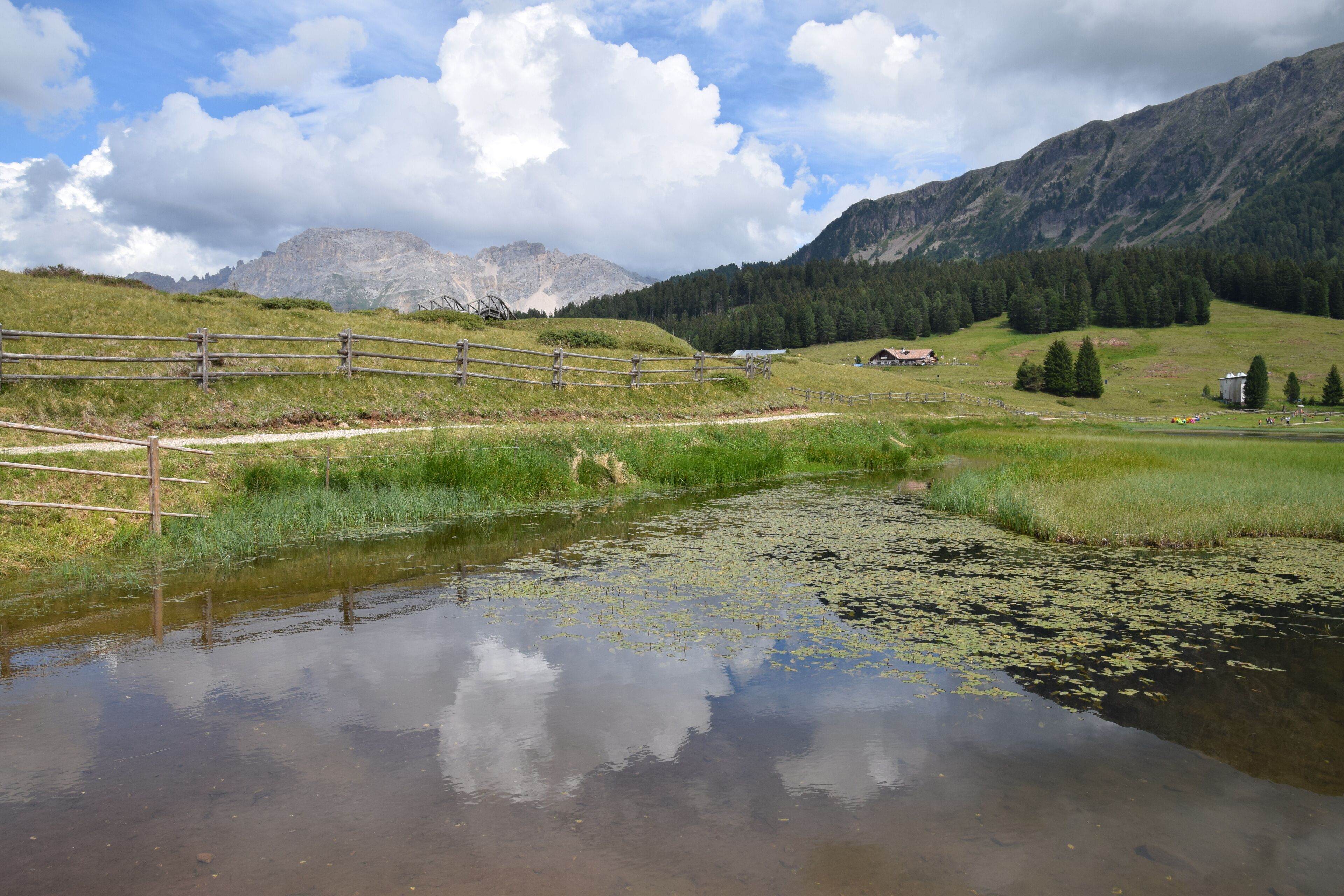 Torbiere del Lavaze' (Q49967605)