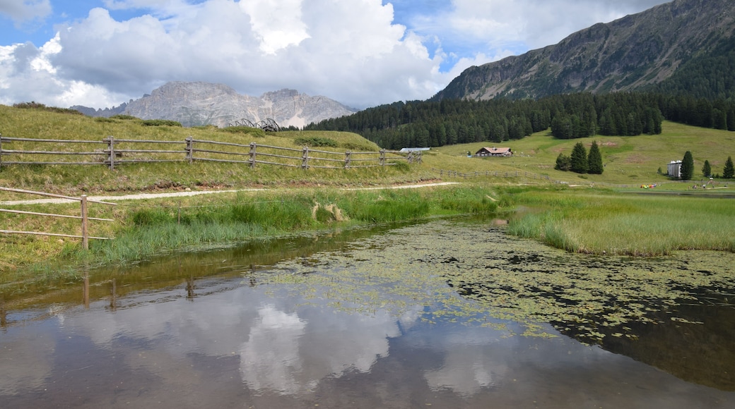 Torbiere del Lavaze' (Q49967605)