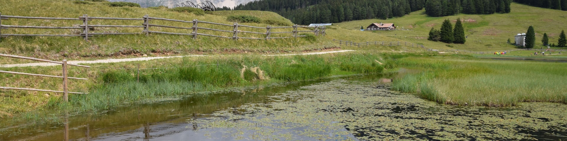 A rural landscape with a wooden fence, a small pond with lily pads, and a mountain range in the background.