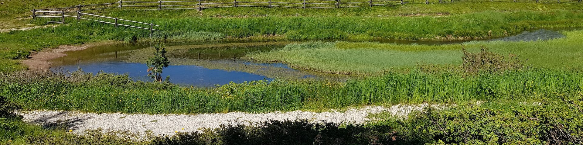 Torbiere del Lavaze' (Q49967605)