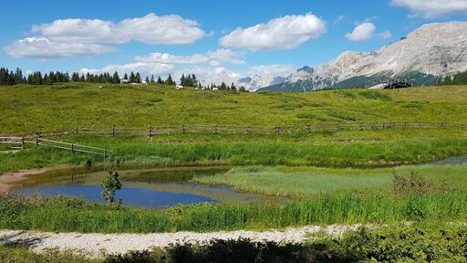 Torbiere del Lavaze' (Q49967605)