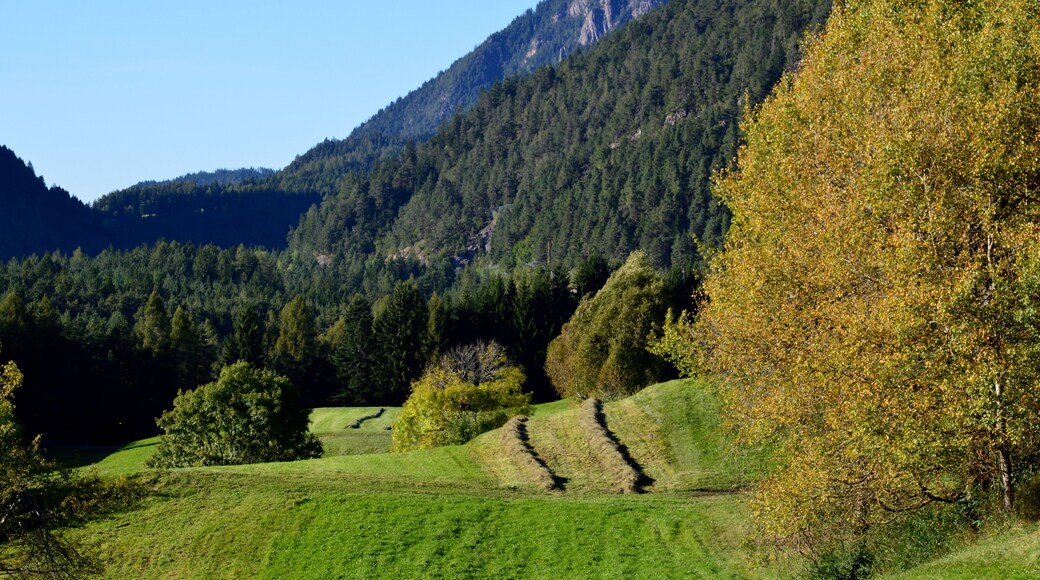 Ultimo taglio per quest'anno