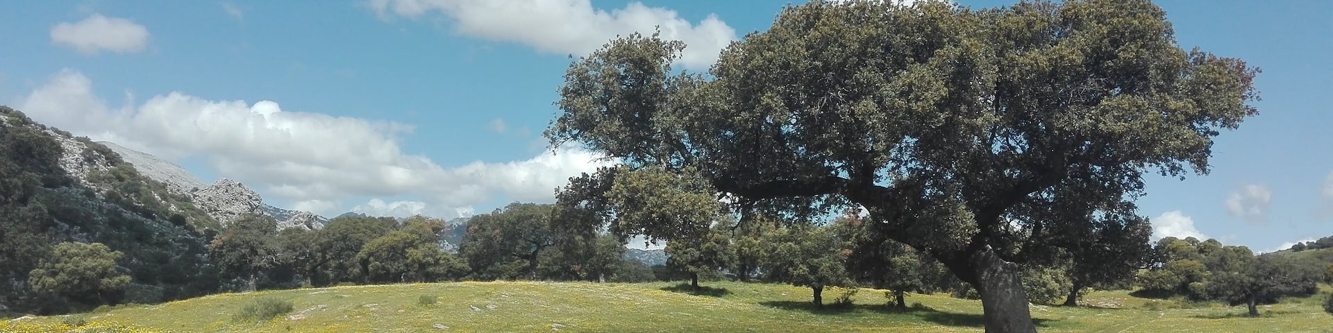 This is an image of the Biosphere Reserve or a Geopark: