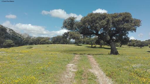 This is an image of the Biosphere Reserve or a Geopark: