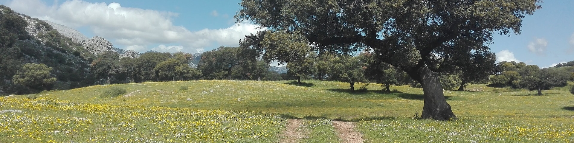 This is an image of the Biosphere Reserve or a Geopark:
