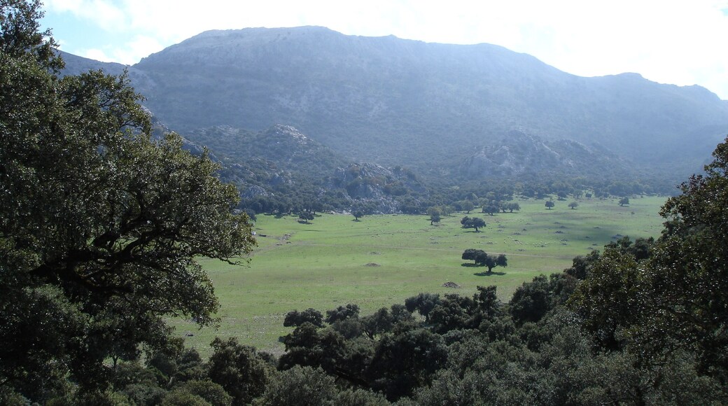 Llanos de Líbar, a karstic landform (polje), Andalusia, Spain