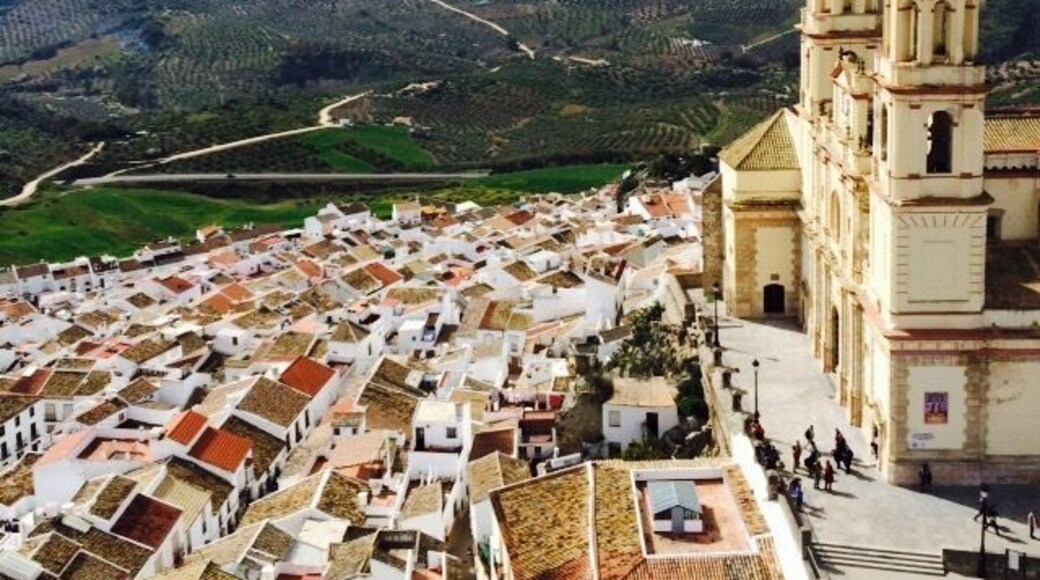 Olvera, Andalucia. A very pretty white town with a castle on top of a hill with views for miles.