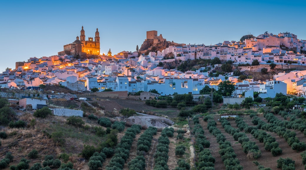 Olvera