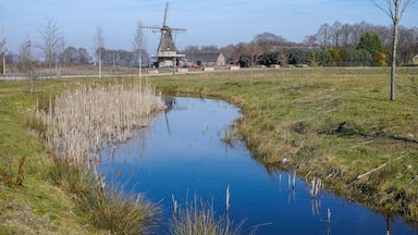 Spring landscape with traditional Dutch windmill in Brabant