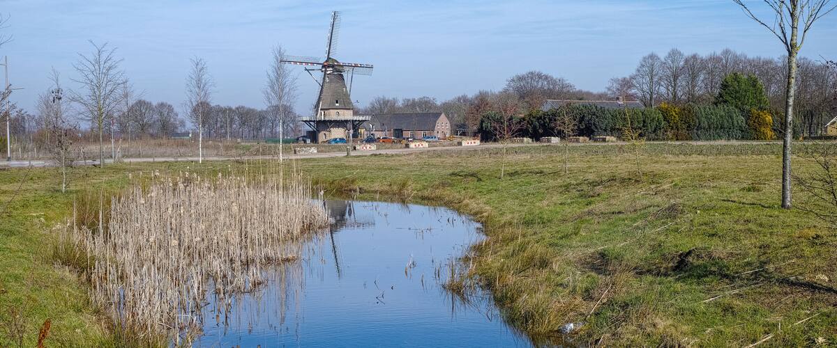 A windmill, a pond, and a rural landscape with trees and buildings.