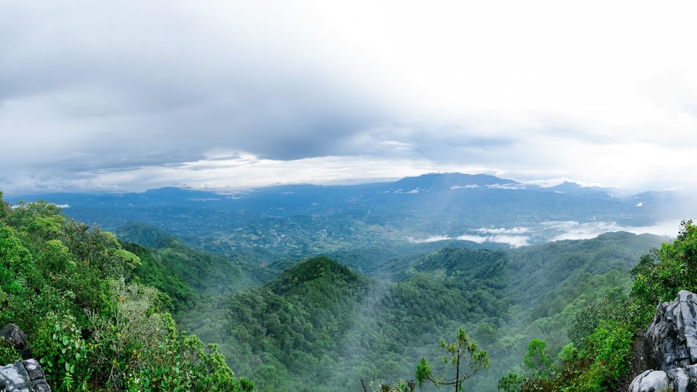 A lush valley with dense green foliage and rocky outcrops.