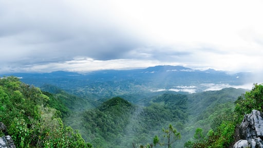 view from the mountain top in honduras