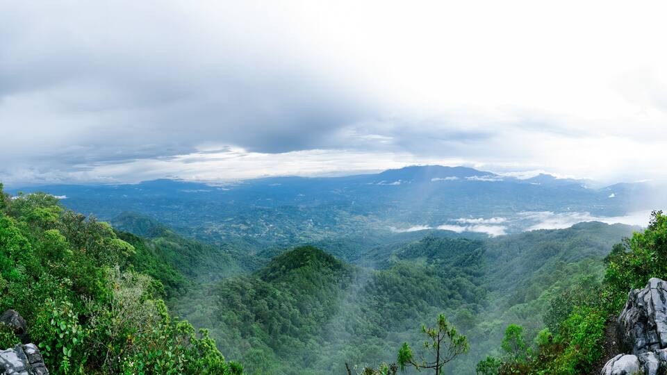 A lush valley with dense green foliage and rocky outcrops.
