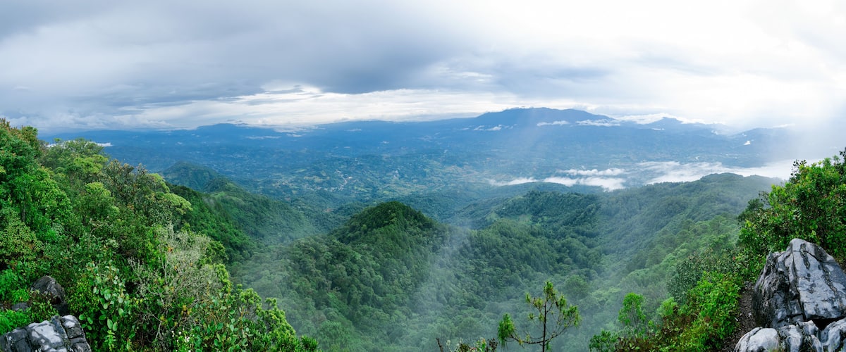 A lush valley with dense green foliage and rocky outcrops.