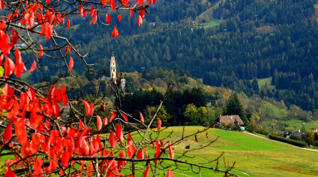 L'autunno che accende i colori