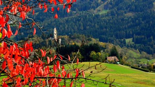 L'autunno che accende i colori