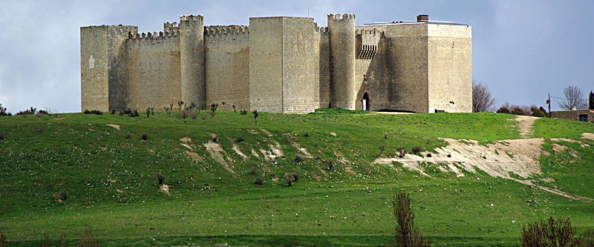 A medieval castle on a grassy hill with a cloudy sky.