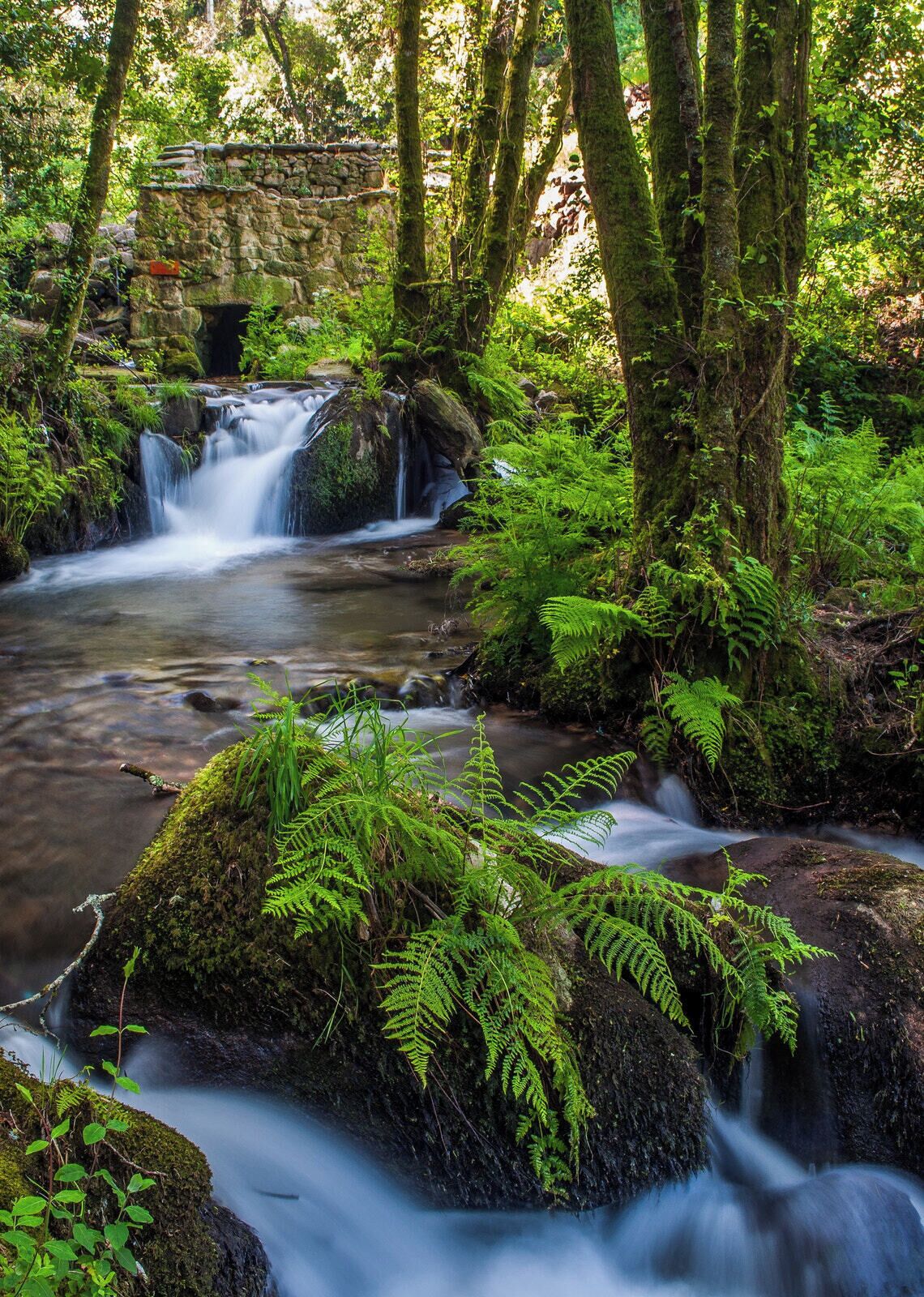 500px provided description: Imagen tomada en la Ruta de la Piedra y el Agua, en el Saln?s, Galicia. Lo que se observa al fondo es un antiguo molino. No se utilizaron filtros.C?mara: Nikon D90Objetivo de kit Nikkor 18-55 [#landscape ,#water ,#nature ,#mill ,#waterfall ,#galicia ,#naturaleza ,#longexposure ,#agua ,#paisaje ,#cascada ,#molino ,#largaexposici?n ,#saln?s]