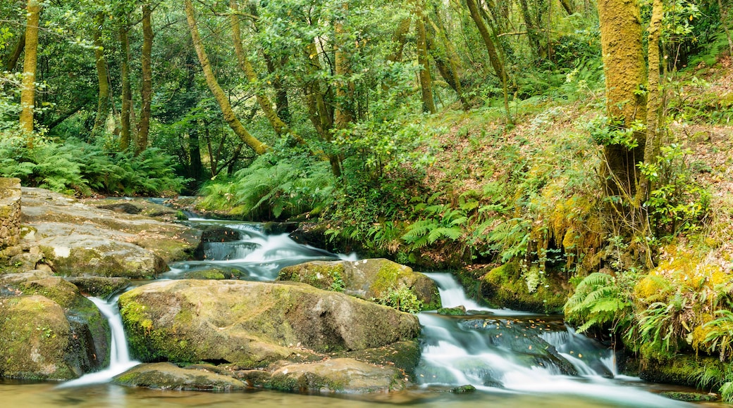 Waterfall on Armenteira river