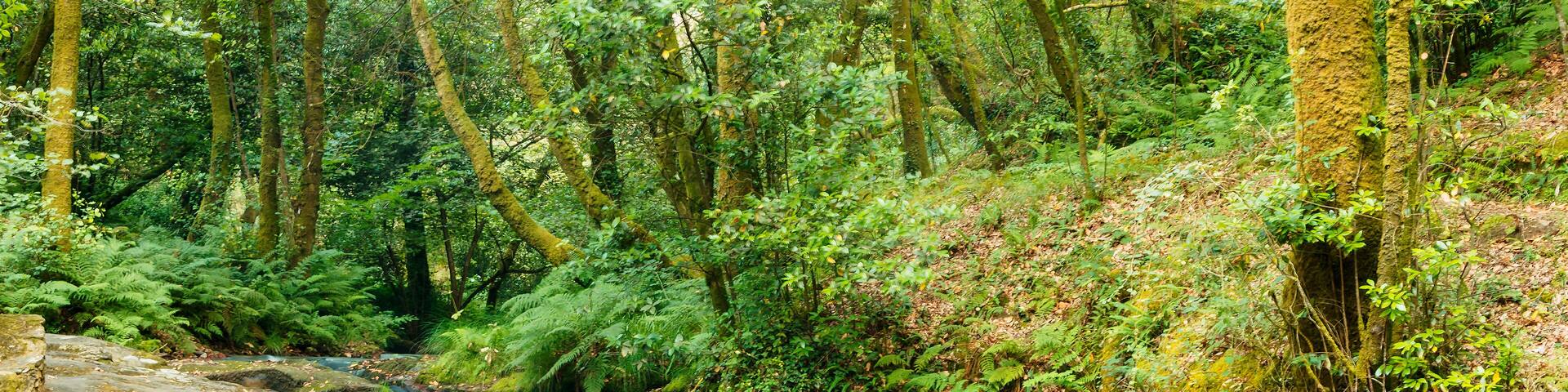 Waterfall on Armenteira river