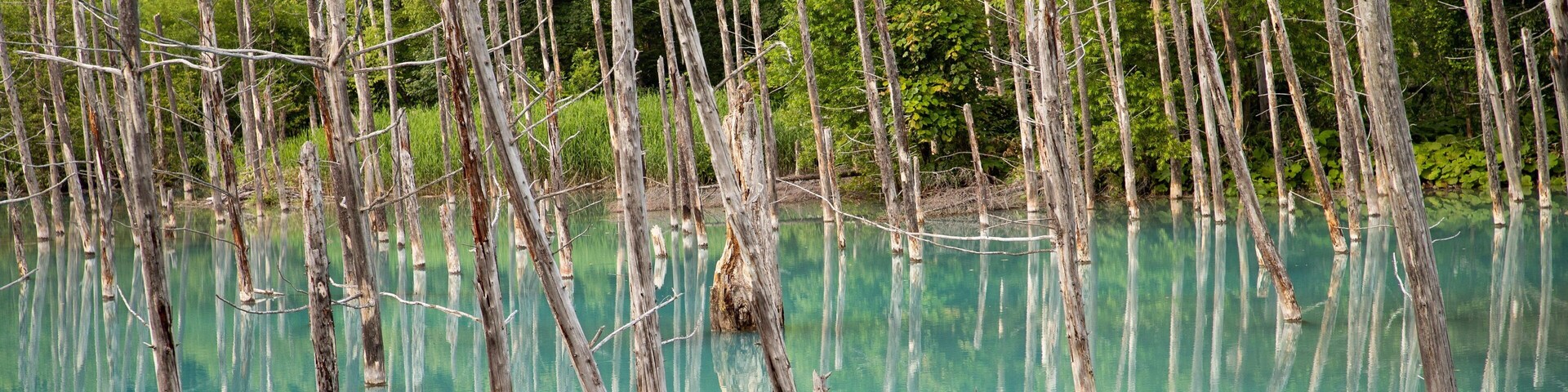 Asahikawa showing a pond