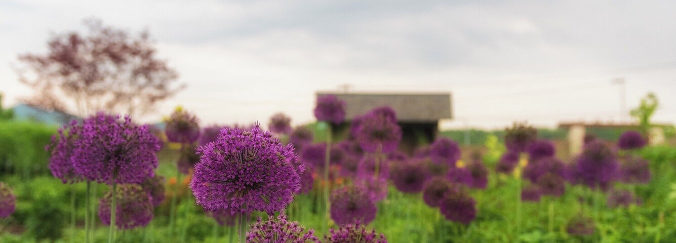 A beautiful garden. Crafted to perfection.